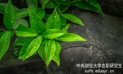 中央財(cái)經(jīng)大學(xué)同等學(xué)力申碩達(dá)到多少分才算通過考試？