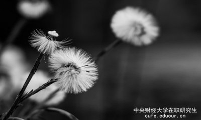 想上中央財經(jīng)大學在職研究生去哪里報名？