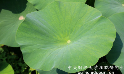 2018年中央財(cái)經(jīng)大學(xué)在職研究生可以獲得雙證嗎？