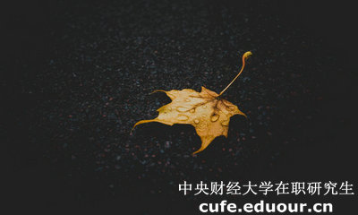 中央財經(jīng)大學(xué)在職研究生與課程研修班有哪些區(qū)別？