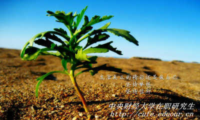 中央財經(jīng)大學(xué)在職研究生同等學(xué)力申碩有哪些優(yōu)勢？